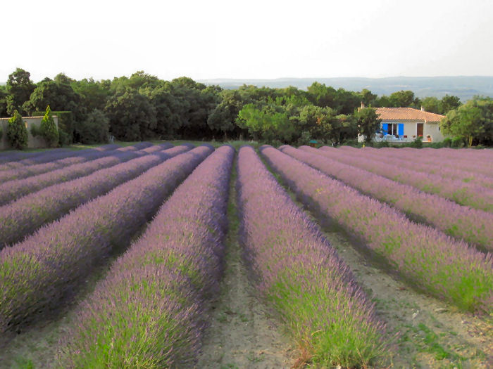 Séjour à Chantemerle Lès Grignan - 20/08 - 230 euros