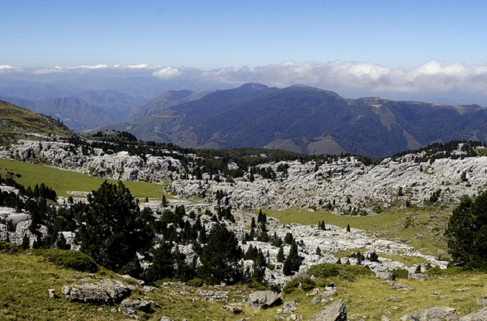 Location La Pierre Saint Martin Les Oursons